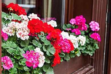 《僵尸世界大战》现已登陆任天堂Switch